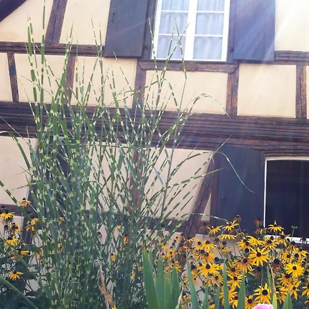 Bed & Breakfast D'hotes La Stoob Strasbourg Sud Illkirch-Graffenstaden